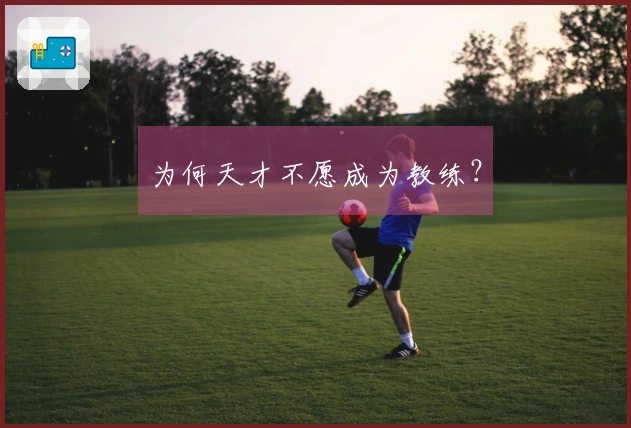 为何天才不愿成为教练？