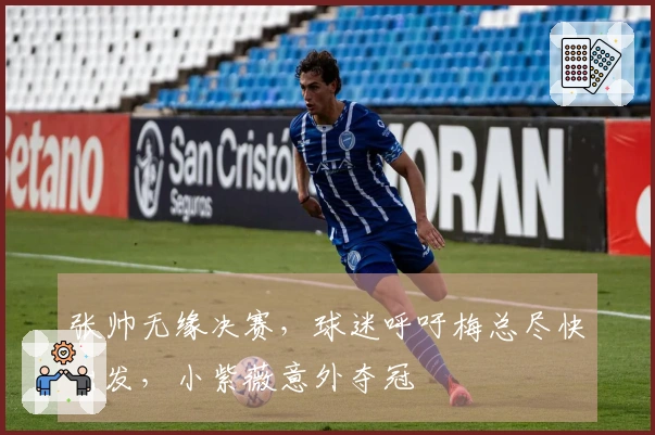 张帅无缘决赛，球迷呼吁梅总尽快出发，小紫薇意外夺冠